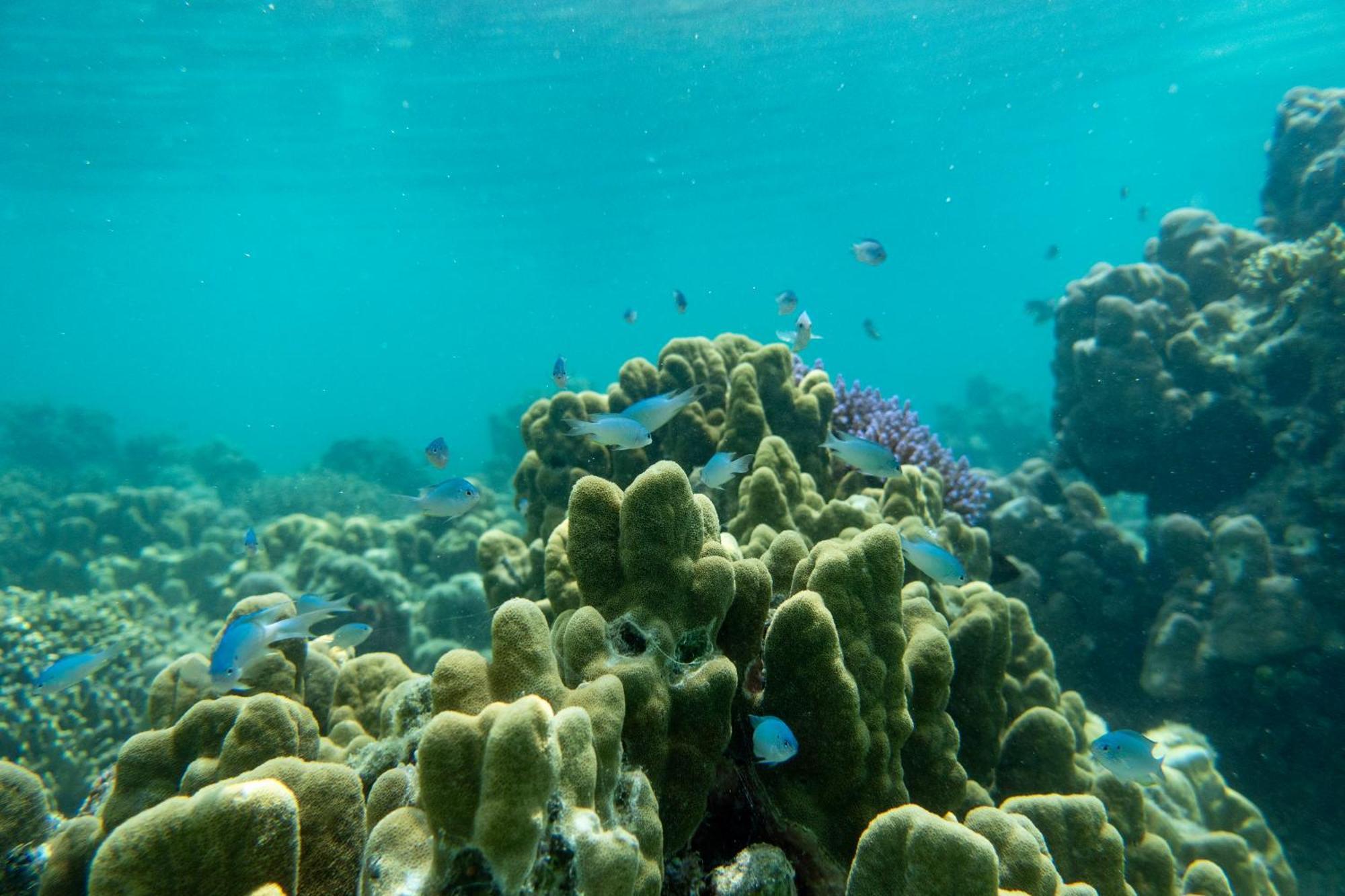 Ira Bungalows Pulau Banyak Alaban ภายนอก รูปภาพ