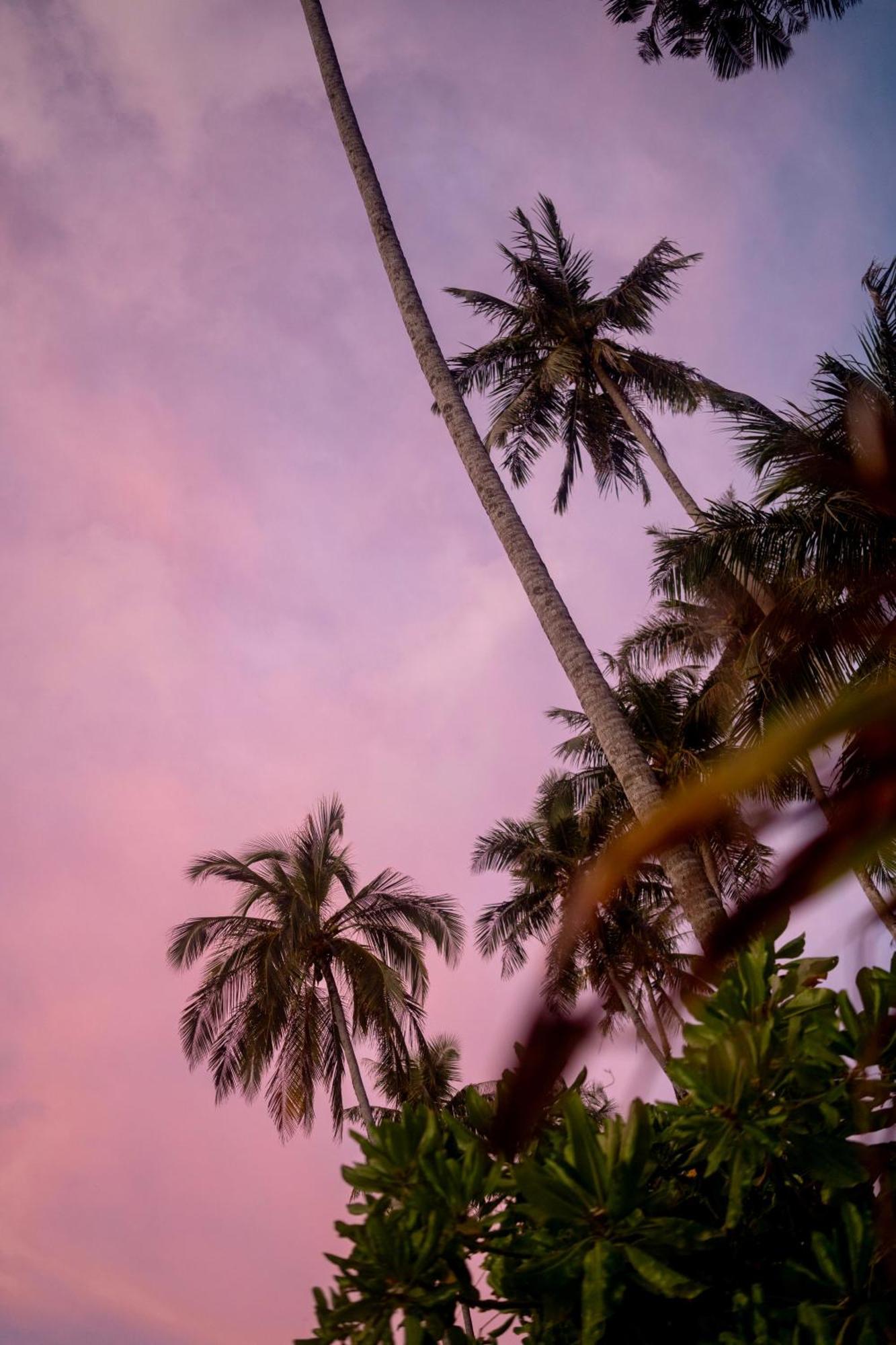 Ira Bungalows Pulau Banyak Alaban ภายนอก รูปภาพ